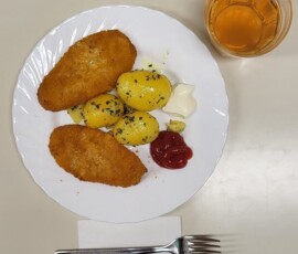 Šola v naravi, Trilobit 2026, 3. dan