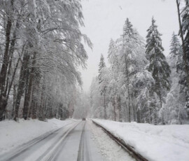 Šola v naravi, Trilobit 2026, 5. dan