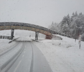 Šola v naravi, Trilobit 2026, 5. dan