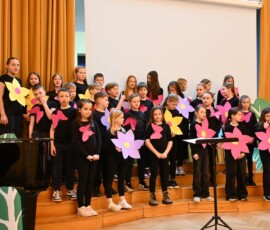 Podelitev MEPI priznanj, Narodni dom Celje, 2026