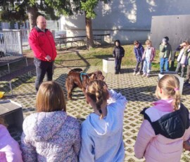 Dan zdravja 2026, OŠ Frana Kranjca Celje