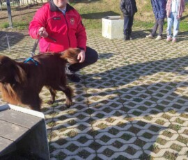 Dan zdravja 2026, OŠ Frana Kranjca Celje
