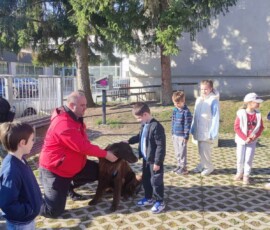 Dan zdravja 2026, OŠ Frana Kranjca Celje