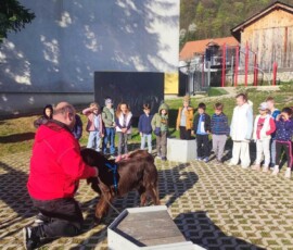 Dan zdravja 2026, OŠ Frana Kranjca Celje