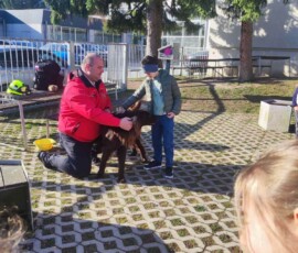 Dan zdravja 2026, OŠ Frana Kranjca Celje