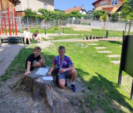 Svet rastlin, junij 2026