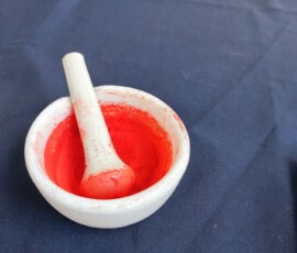 Znanstival 2026